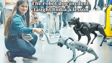 রোবট কুকুরের ঘটনা ভারতকে যে শিক্ষা দিয়ে গেল