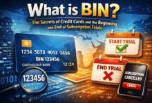 BIN কি ক্রেডিট কার্ডের গোপন রহস্য এবং সাবস্ক্রিপশন ট্রয়ালের আদ্যোপান্ত
